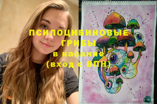 PSILOCYBIN Липки