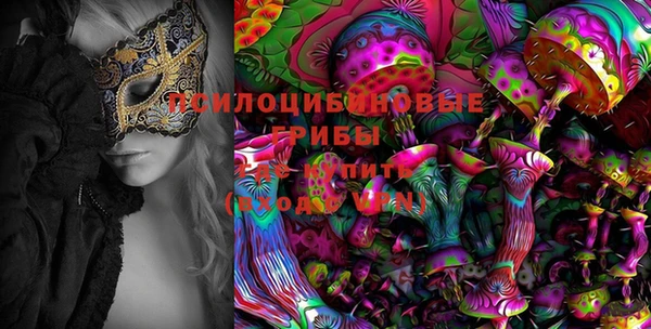 гидропоника Лихославль