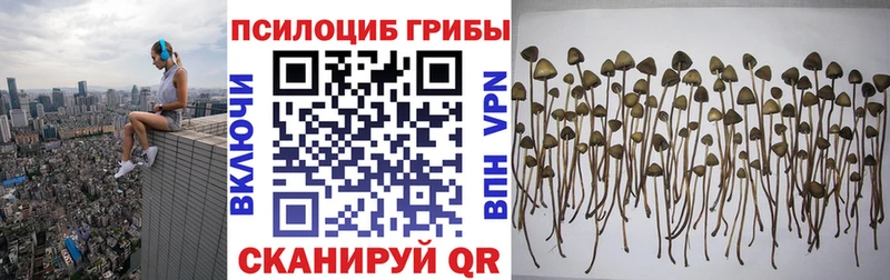 закладка  hydra ссылка  Галлюциногенные грибы GOLDEN TEACHER  Суровикино 